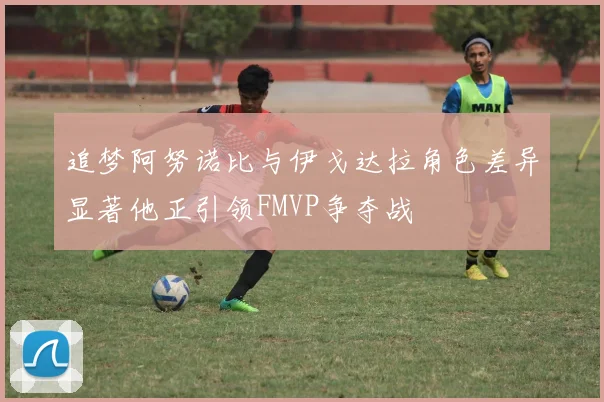 追梦阿努诺比与伊戈达拉角色差异显著他正引领FMVP争夺战